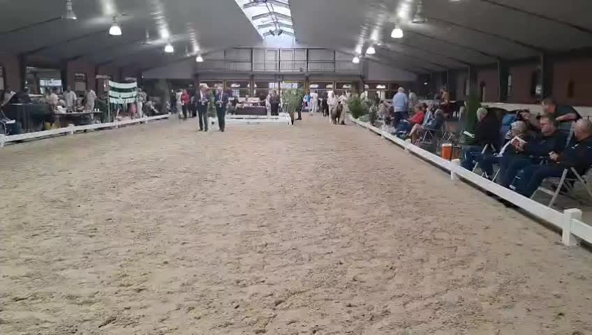 @the fanny's ranch (nsps)