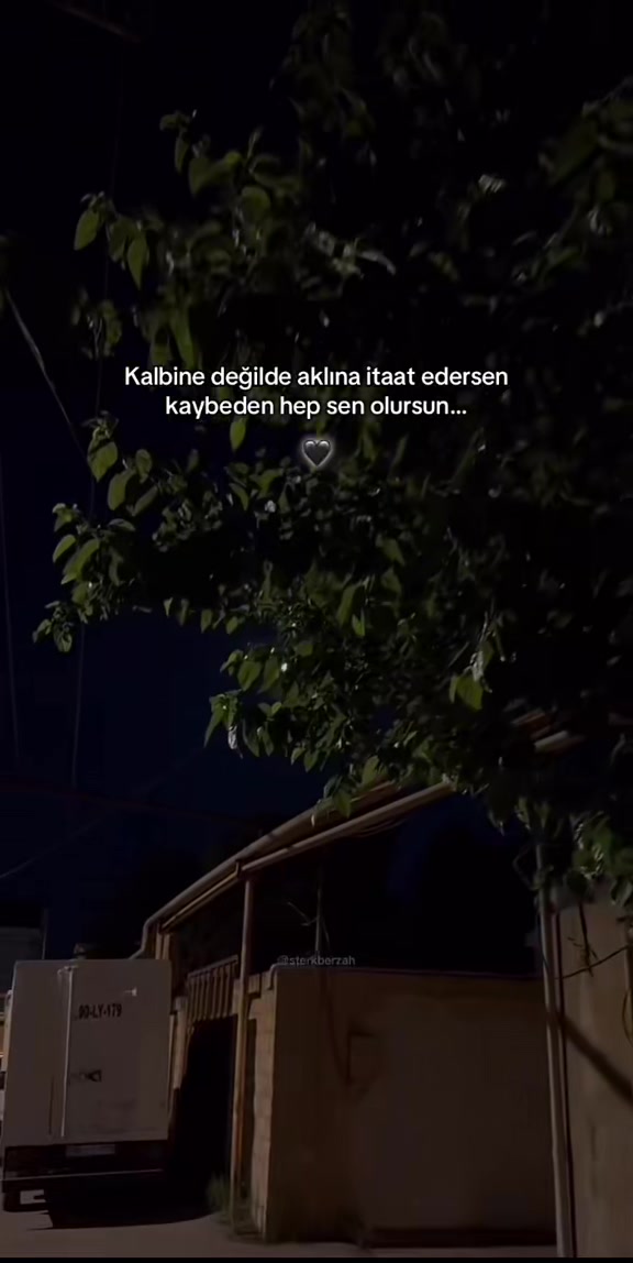 @mehmet_bagis34