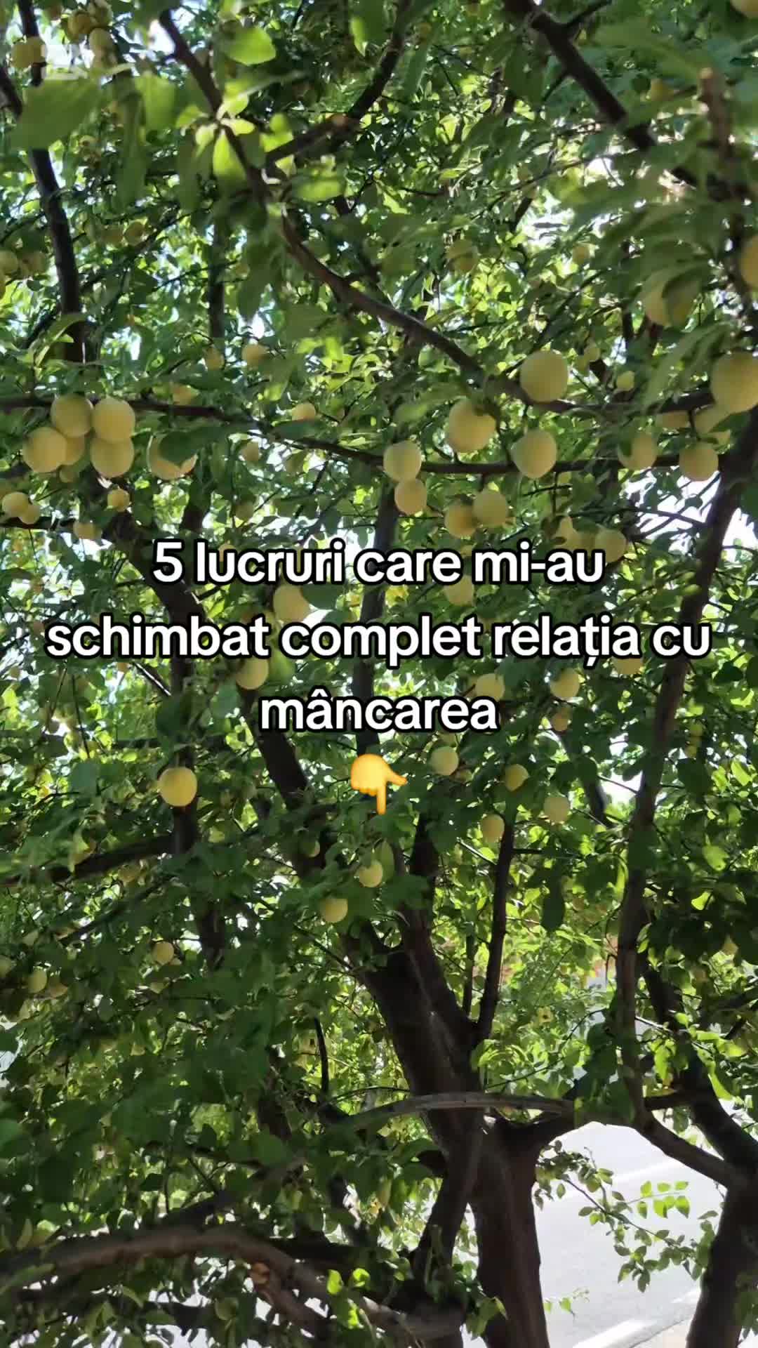 @Alina I. Serban
