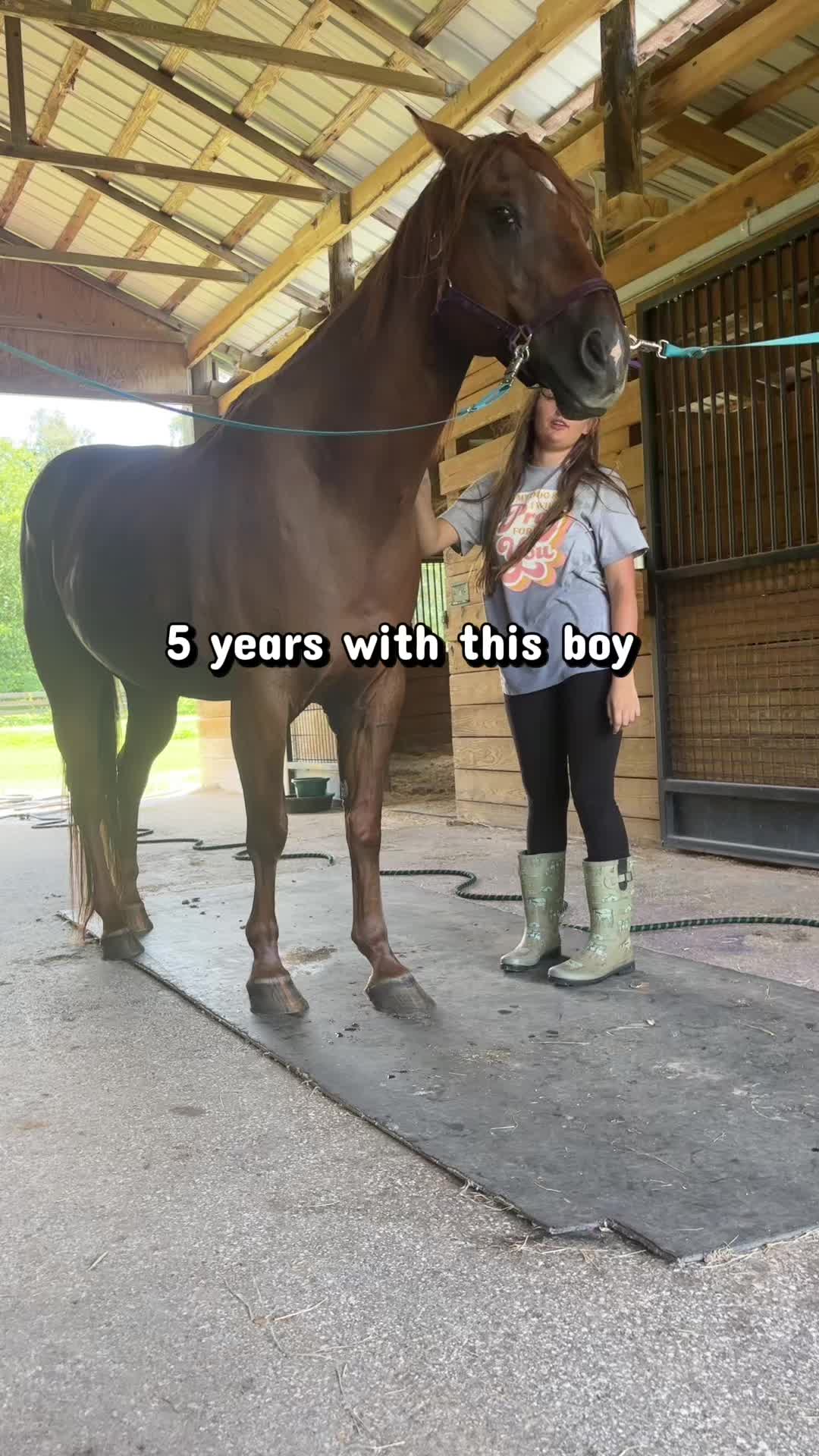 @itiswellstables