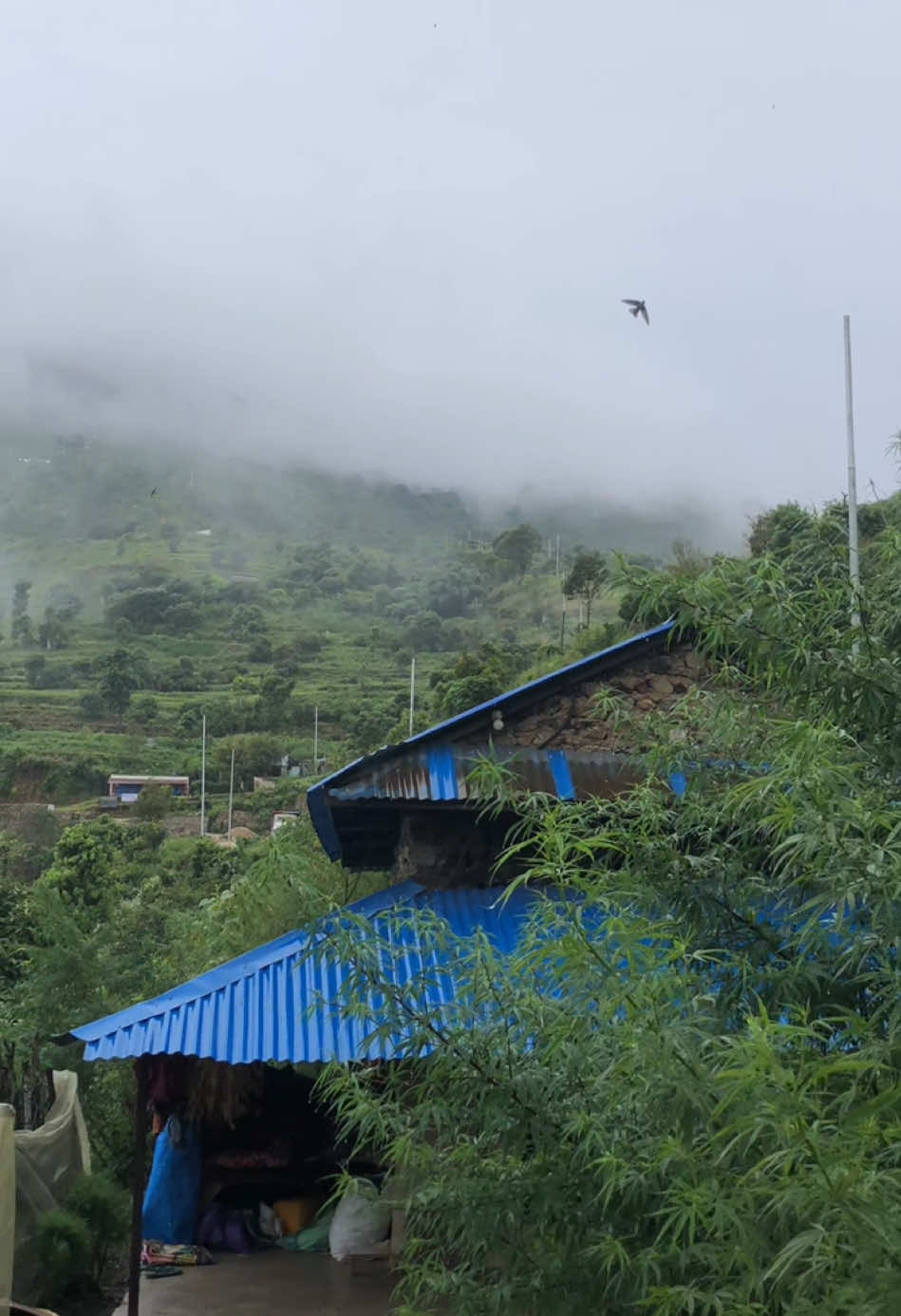 @Rabin Vlogs🇳🇵