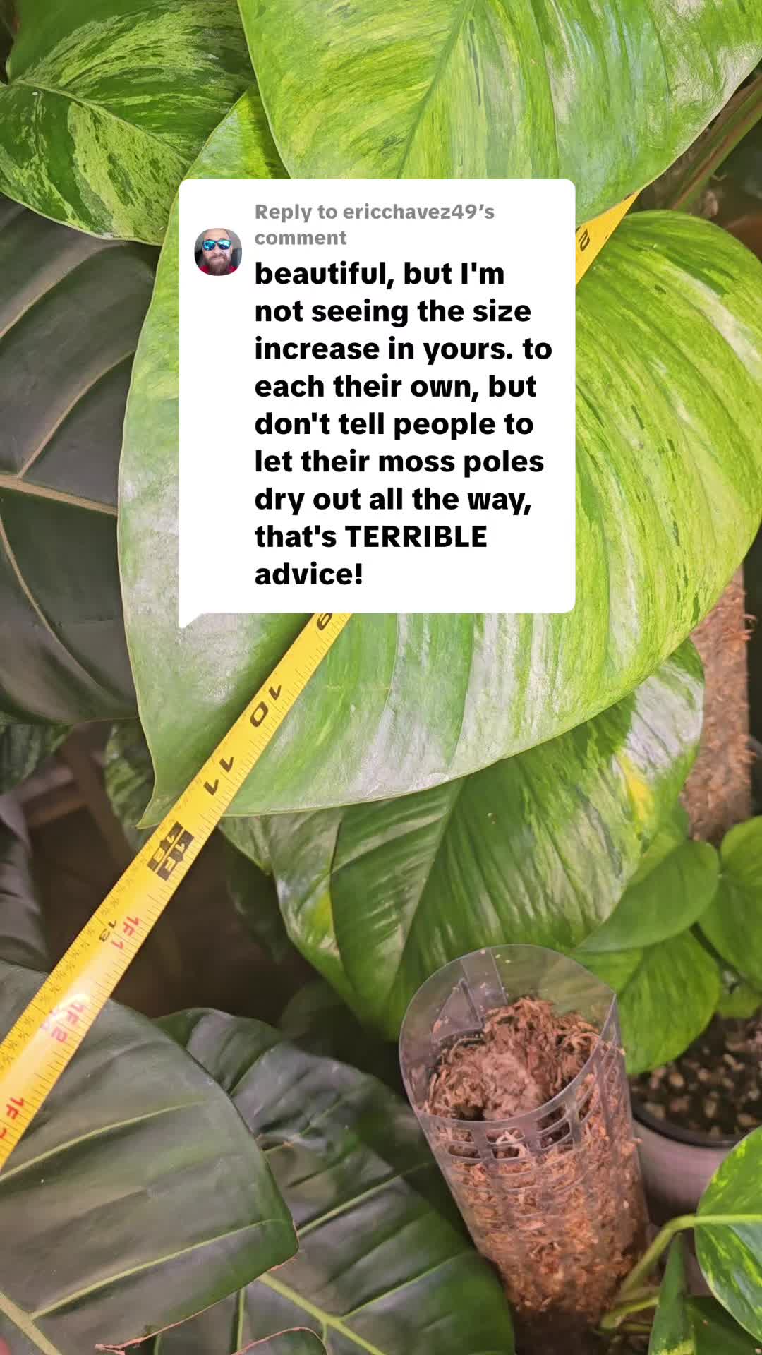 @JT - BigEGOPlants