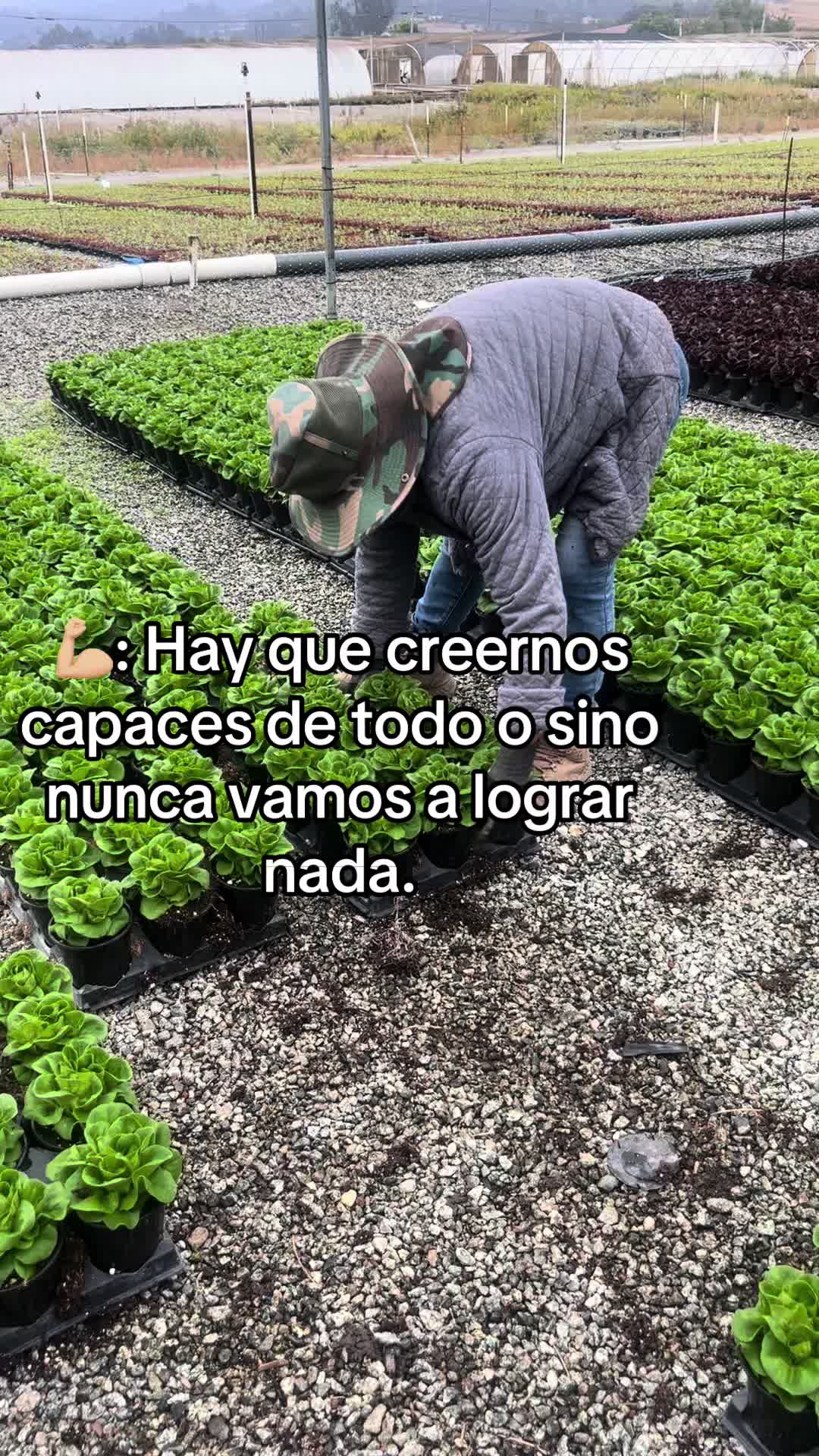 @Zapata831