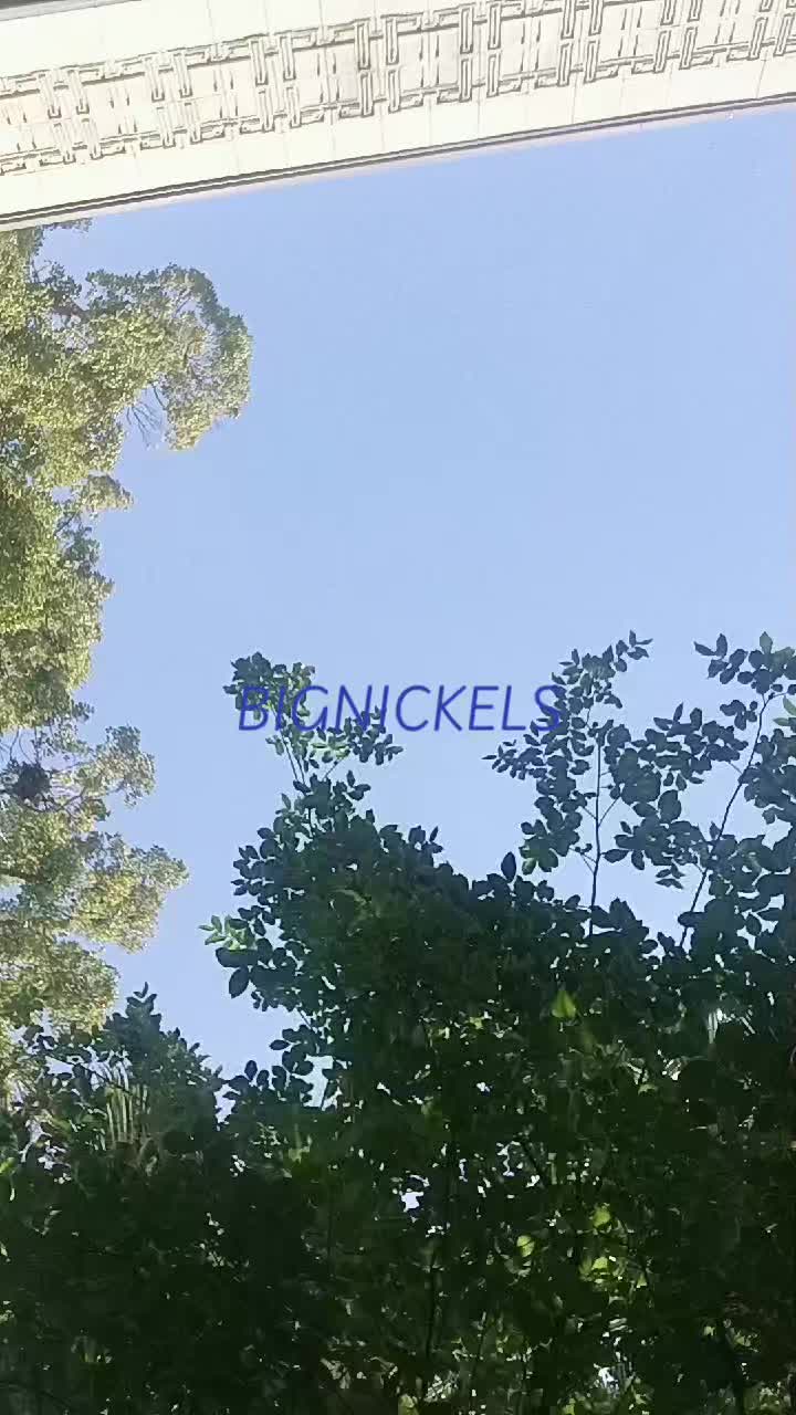 @big nickels