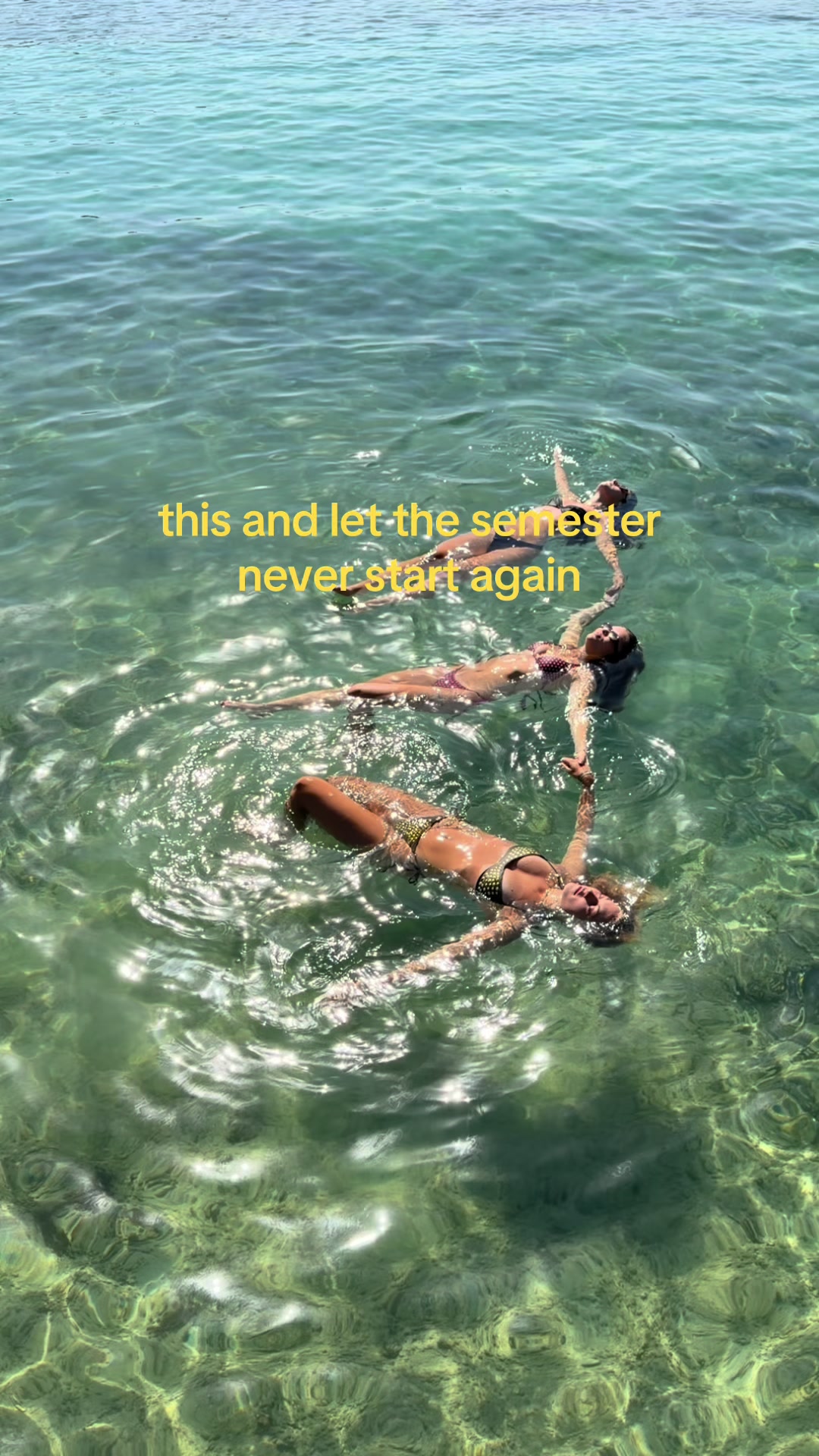 @gretaaa 🐙