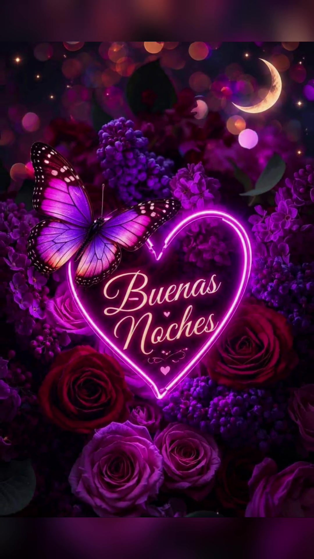 @elvirasvg
