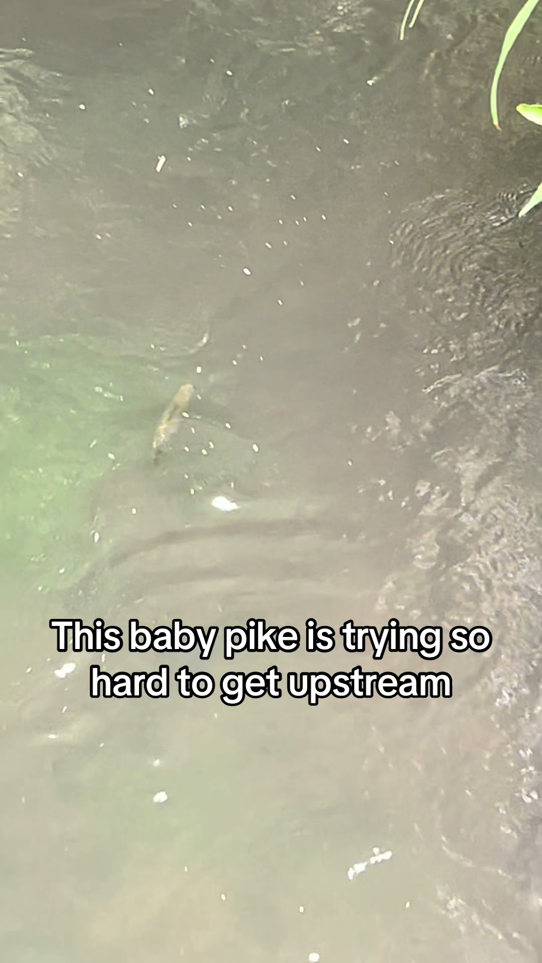 @Reel Team Six