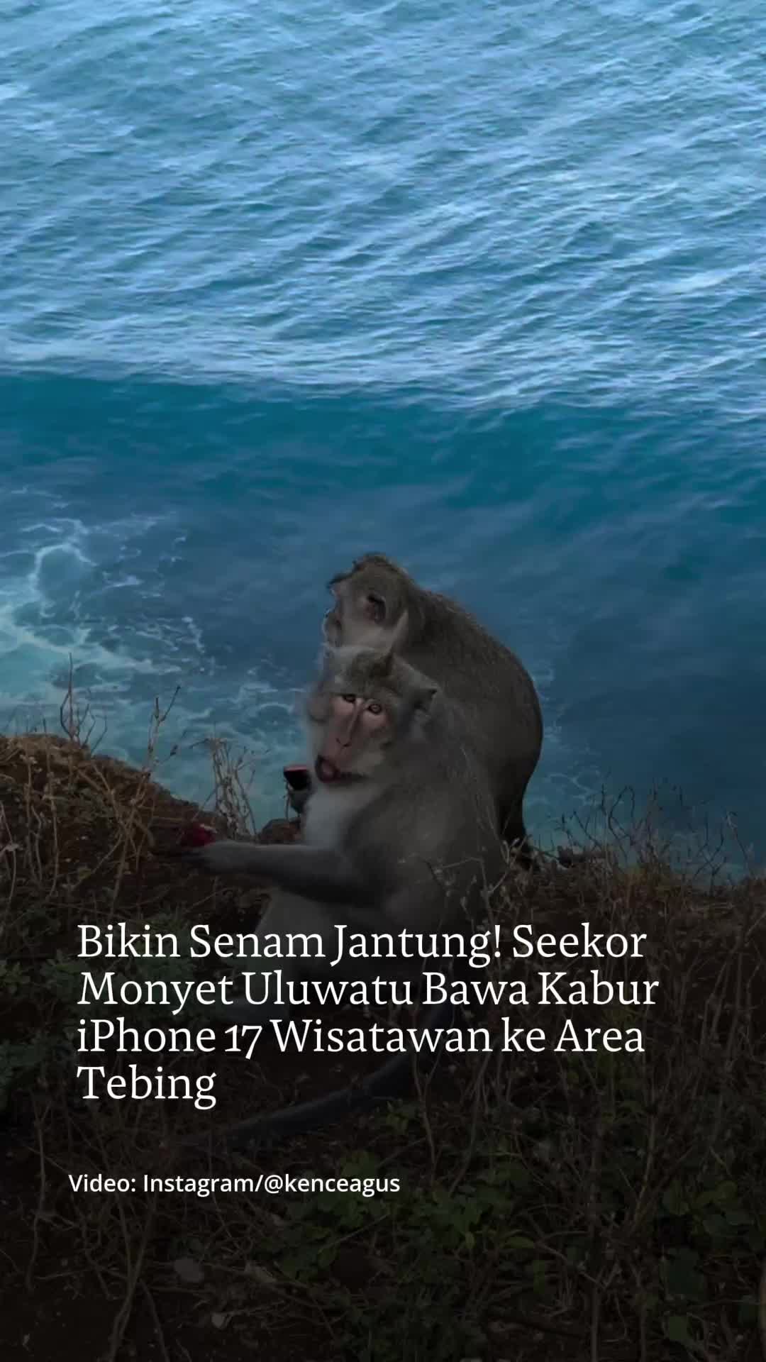 @mongabayindonesia