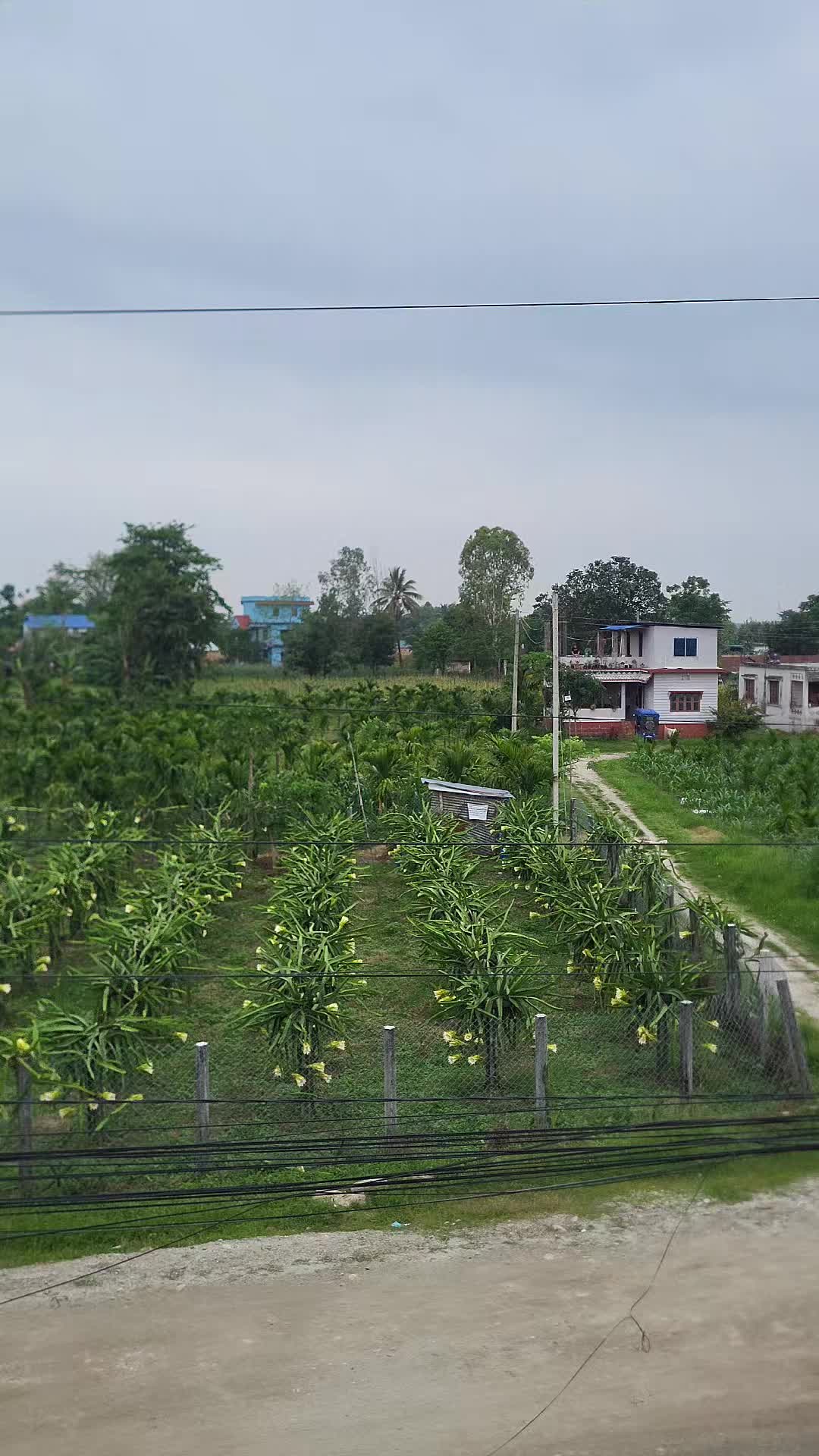 @Badri Dahal