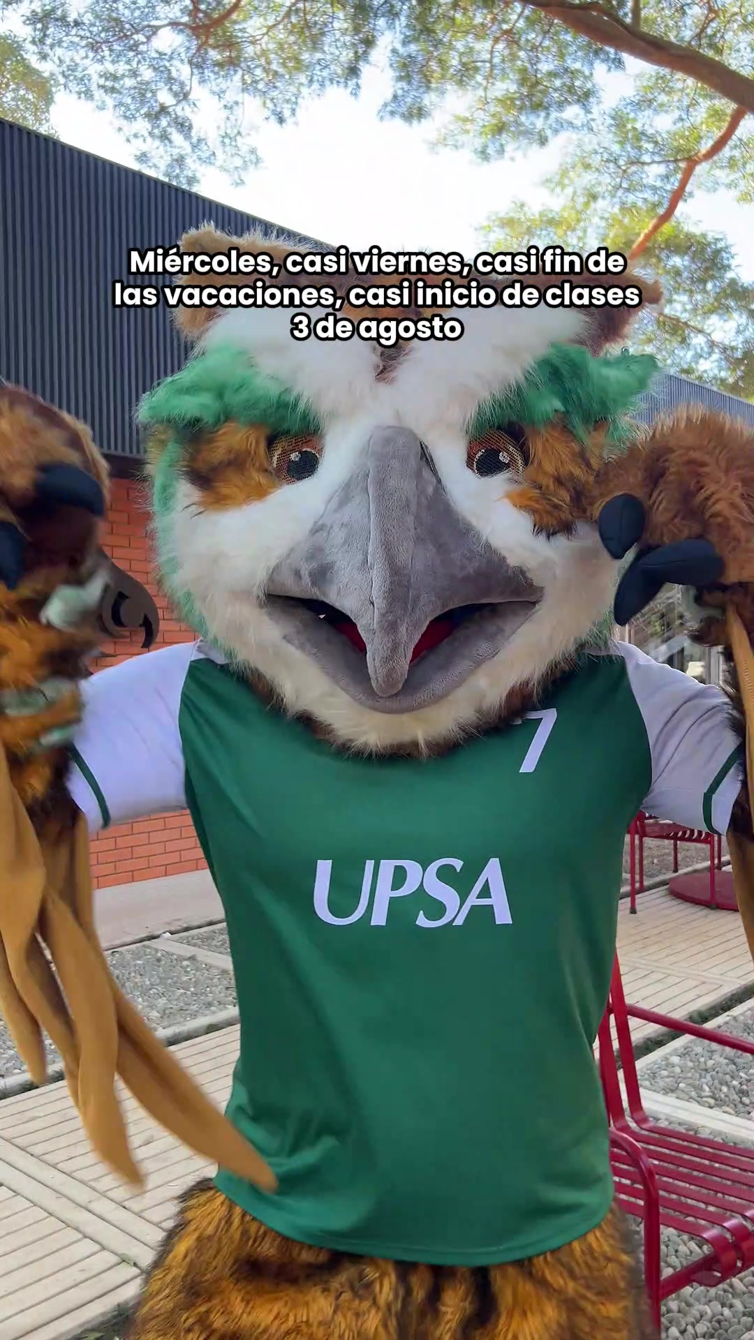 @Comunidad UPSA
