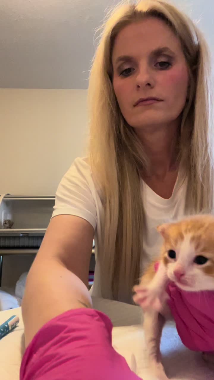 @Kitten.mama
