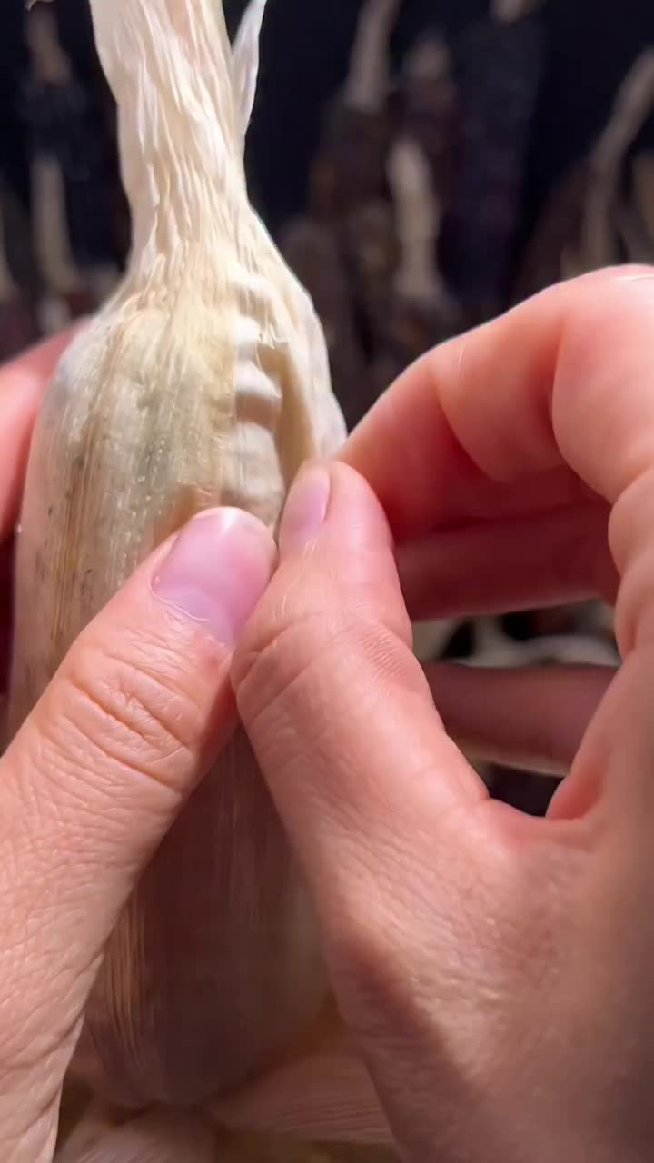 @urdailydoseofinternet28