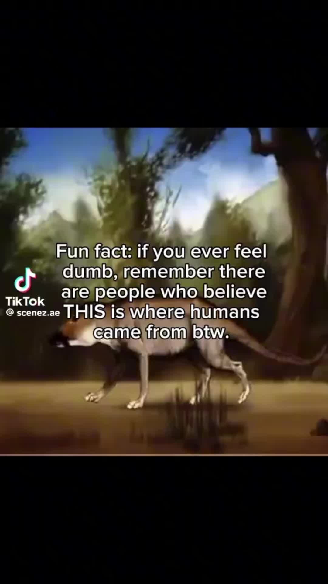 @DrillFinn