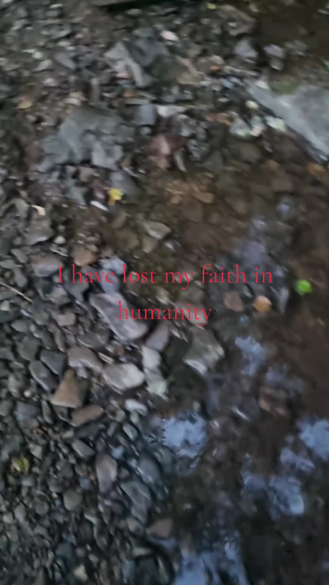 @Nirvana Fan🚩
