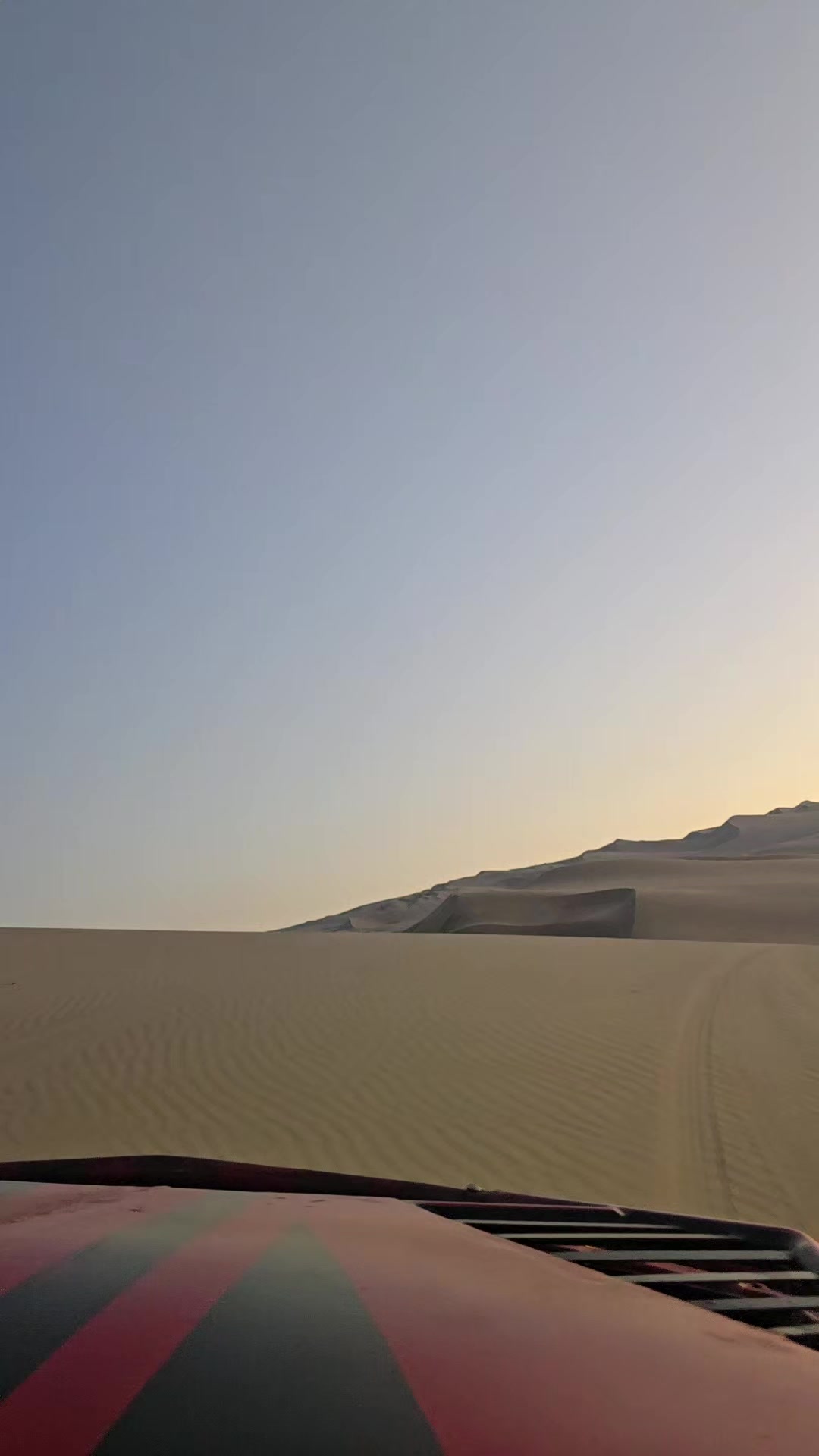 @el shavi