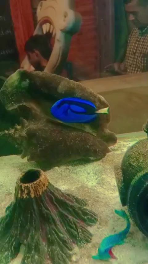@N A T U
