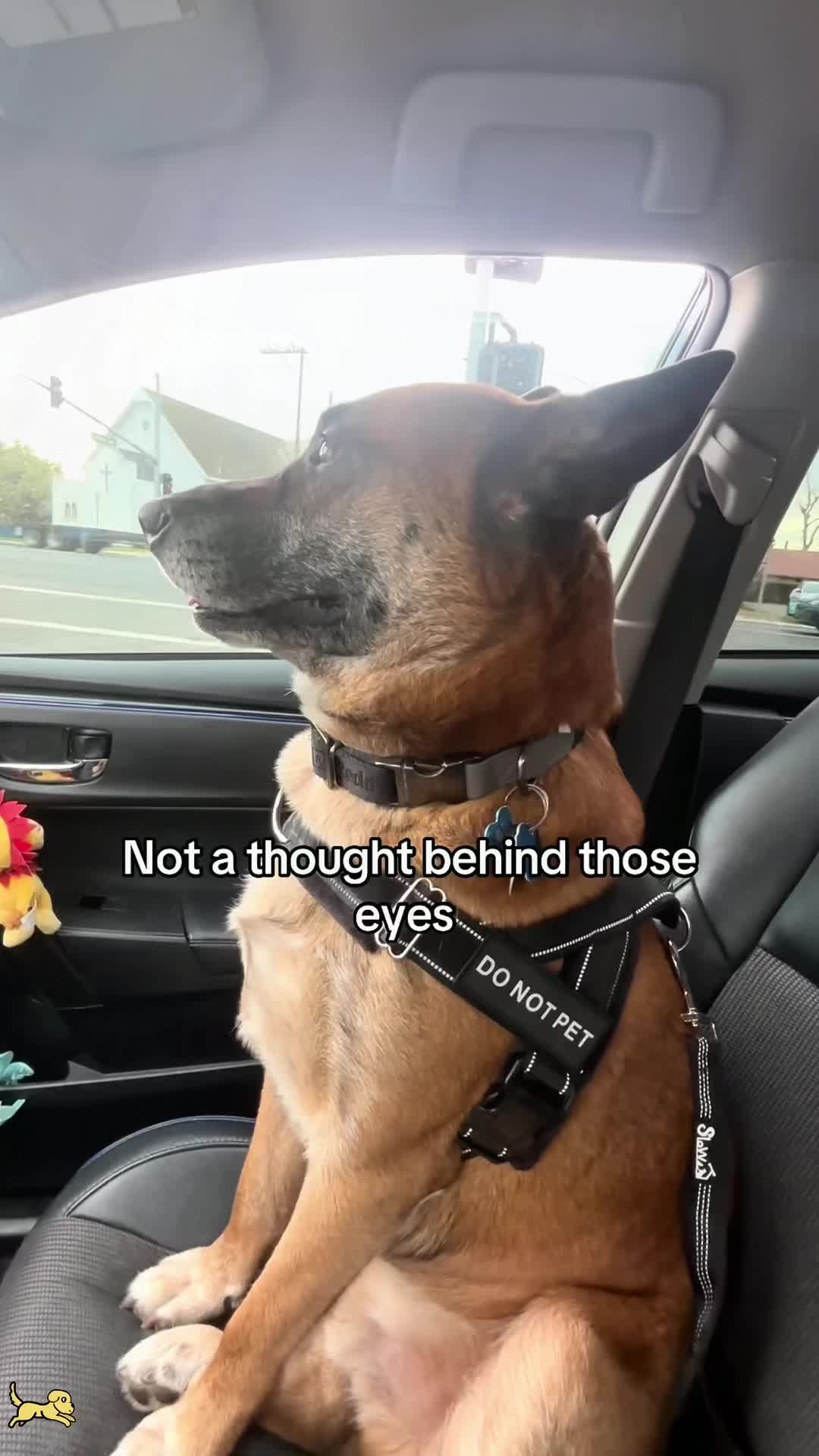 @SneakyFails