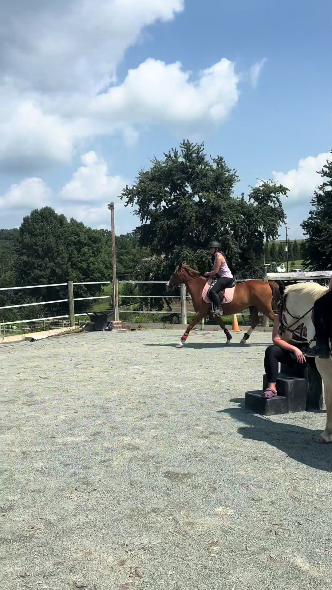 @Aftyn 🐎