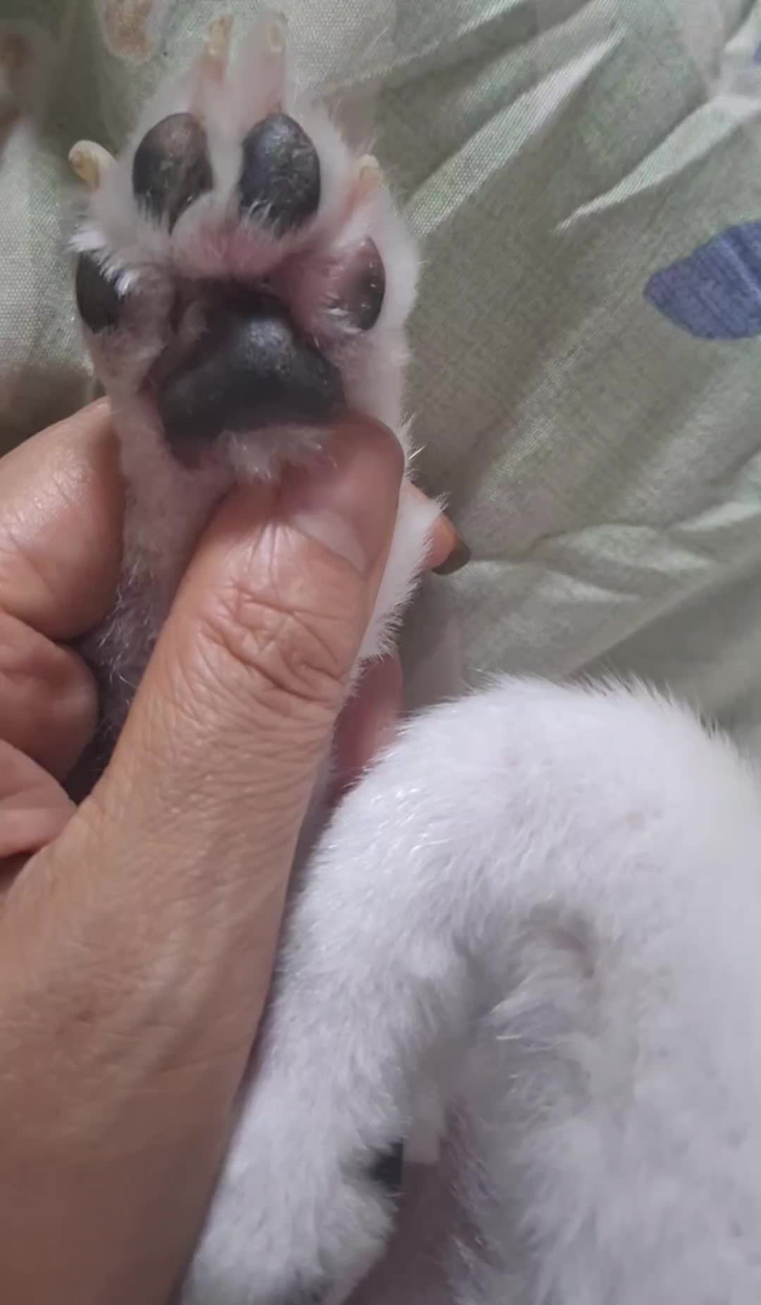 @땡이맘/헤어톡