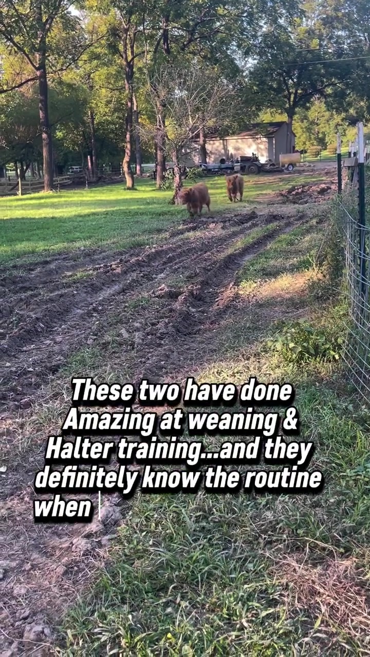 @Gypsy Rose Farm, LLC