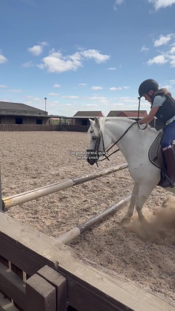 @LottiesHorseAdventures🦄🐴
