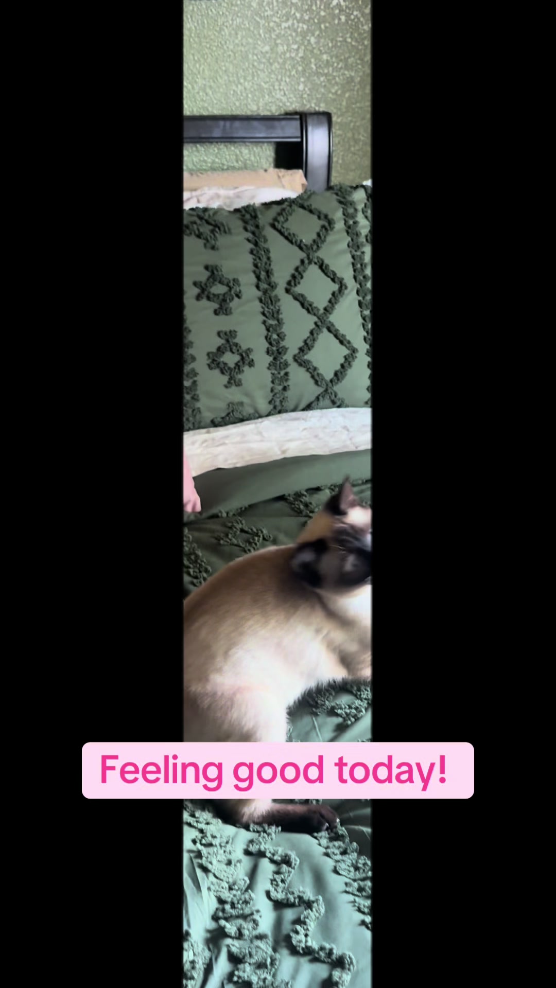 @SkippyJosAdventures