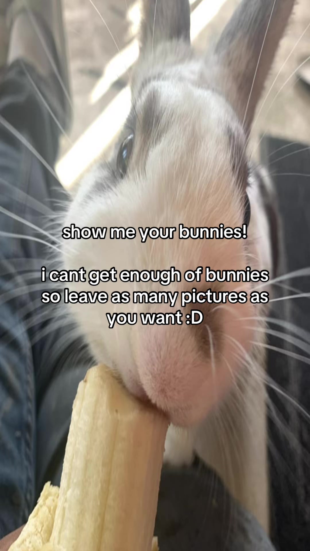 @bnuuy