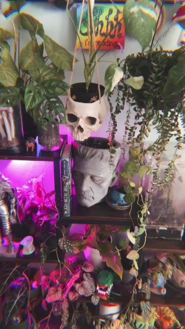 @🗡️🌿📚Tex📚🌿🗡️