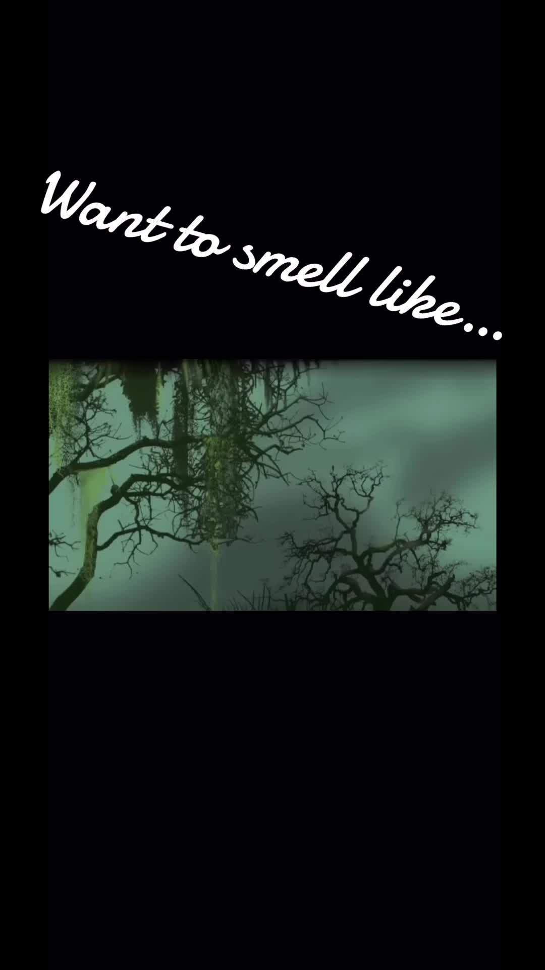 @JustJeff