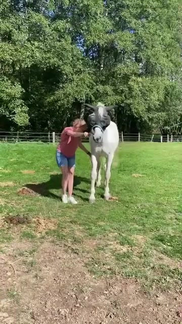 @Laura..Bijker