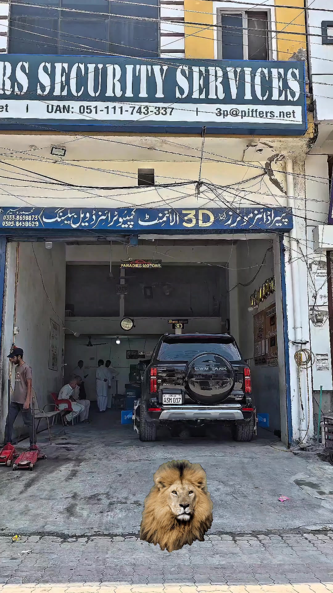 @paradise 3d wheel alignment 12