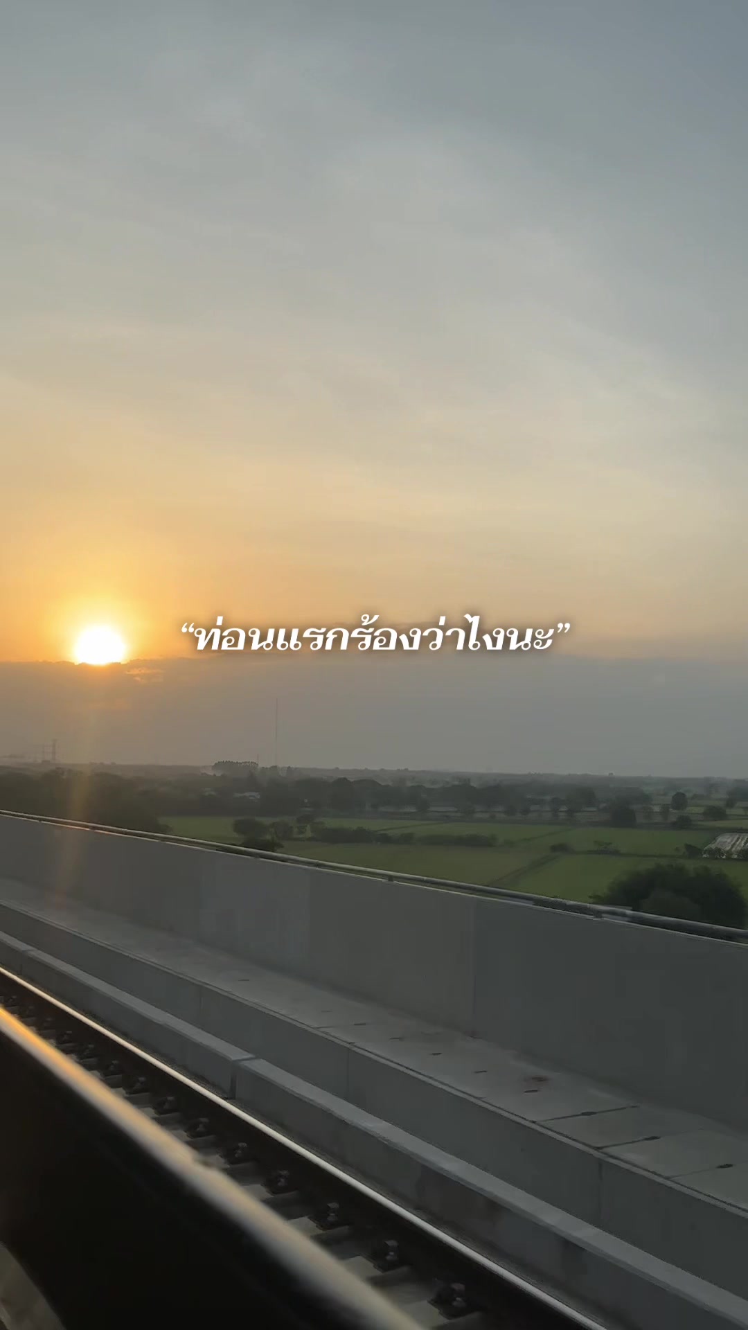 @ไอ้ขิงสุดเฟี้ยว