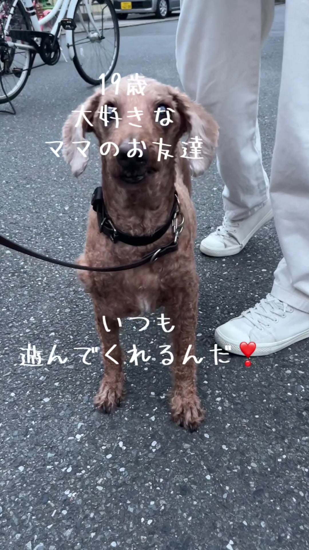 @ルイママ