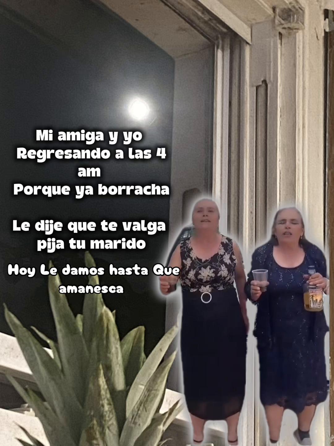 @💛Bonita_Girasol91
