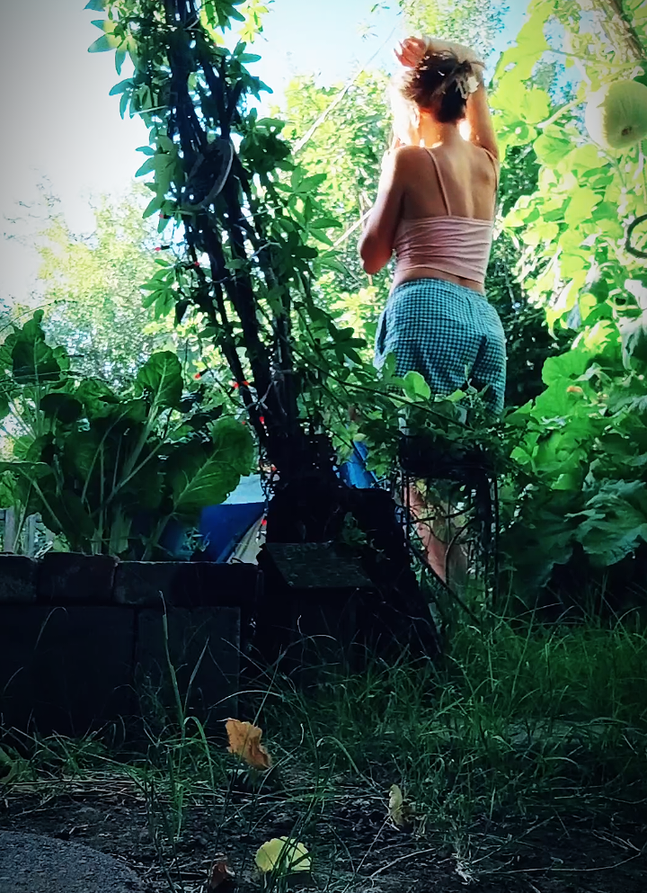 @VanillaOrchid