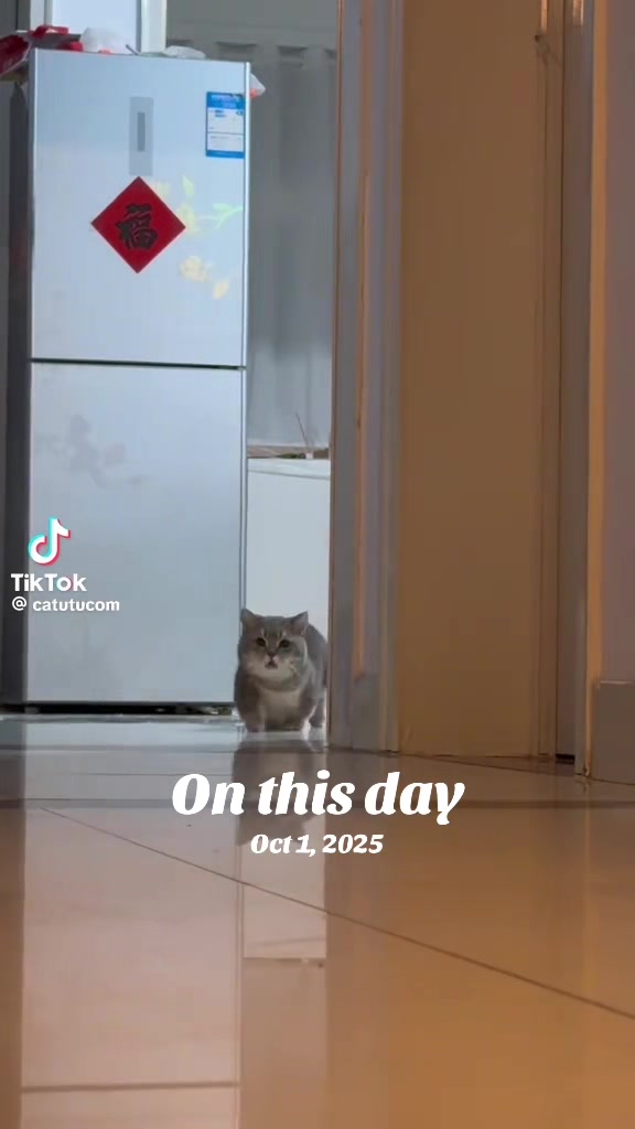 @😸 ྀི