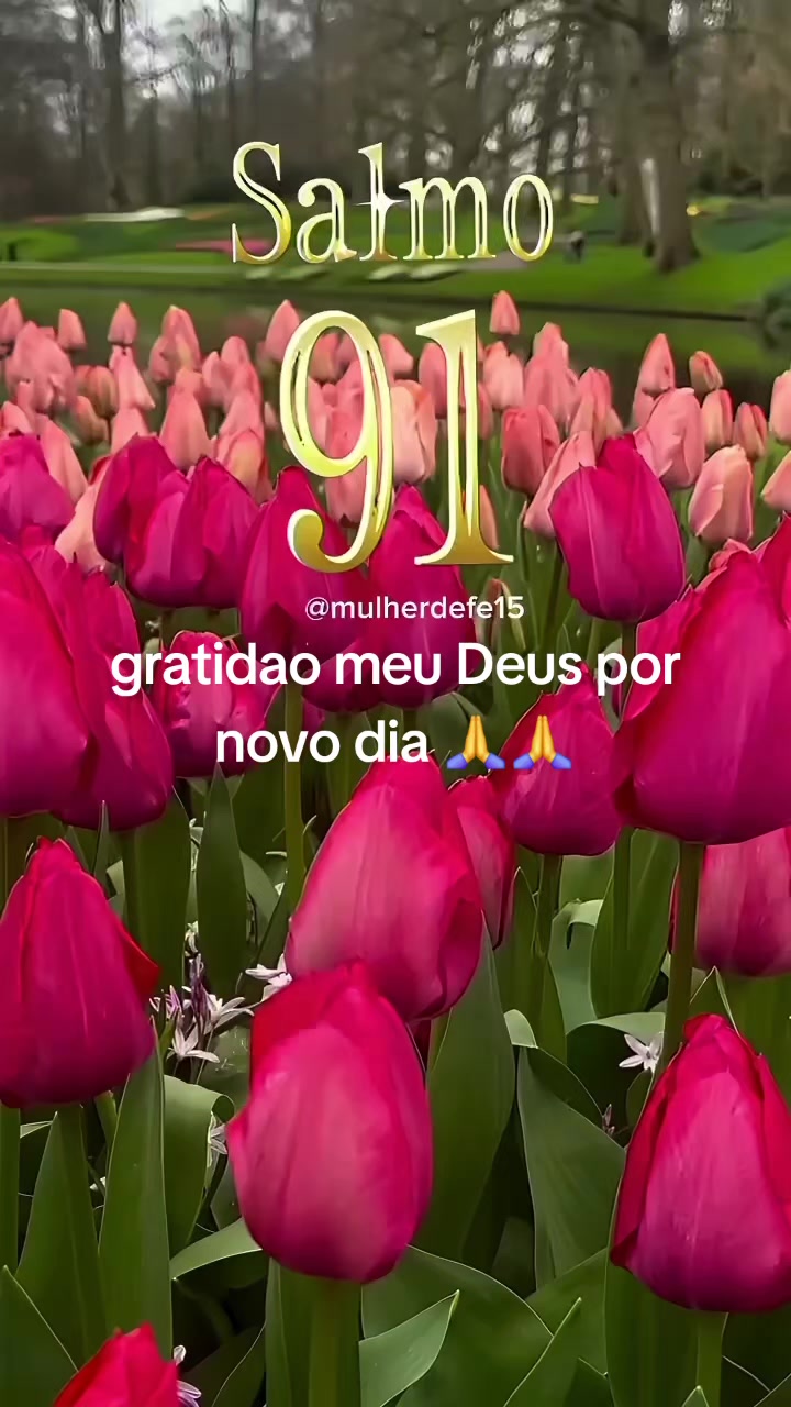 @Barbara Ribeiro