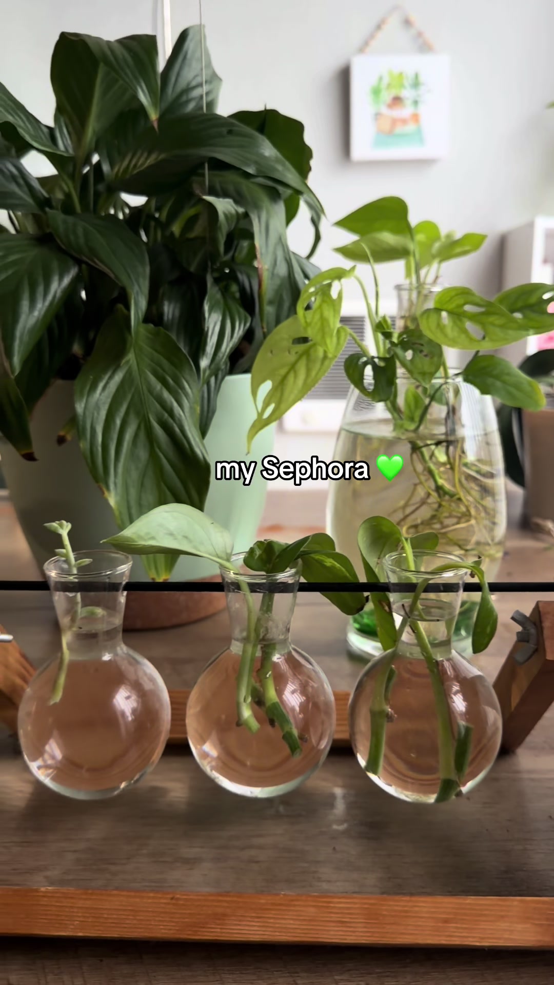 @Selena 👩🏽&zwj;🍳🌞💖