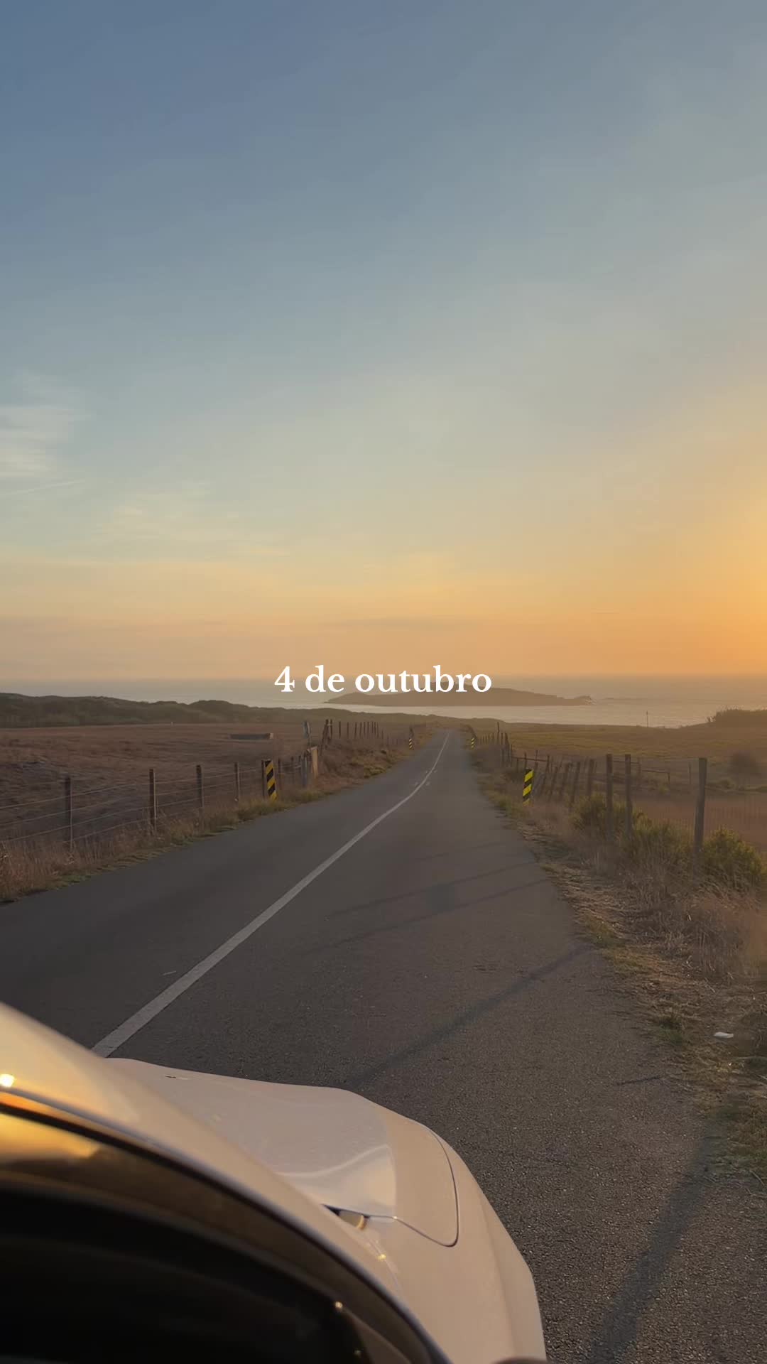 @nenas teixeira