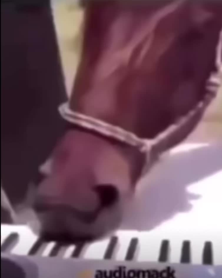 @SORI