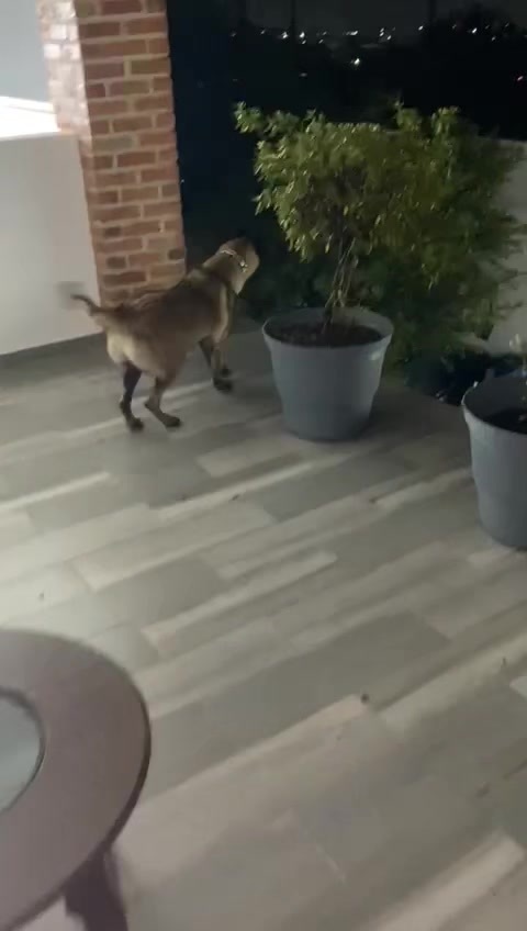@Israel Helgueros