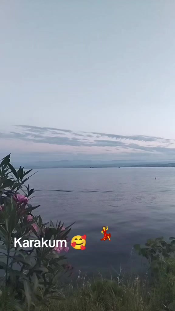 @sevimcannefes