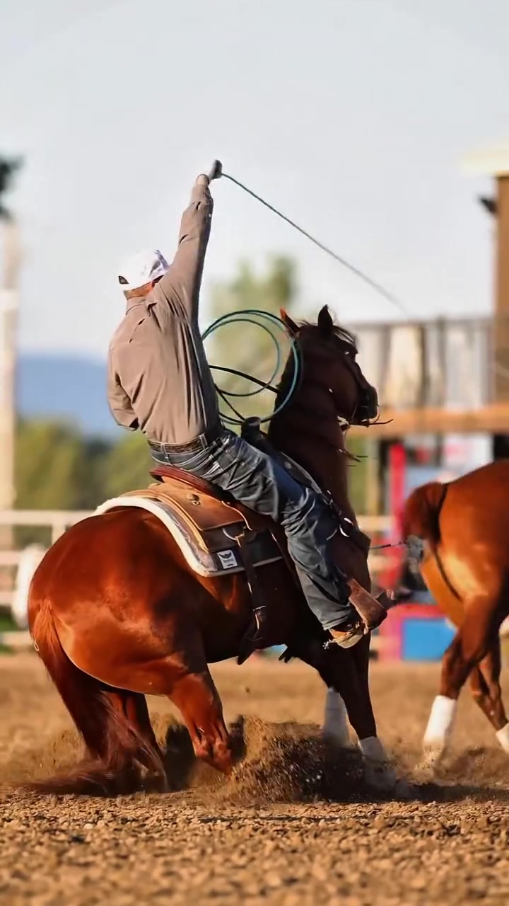 @Roping Dummies Texas