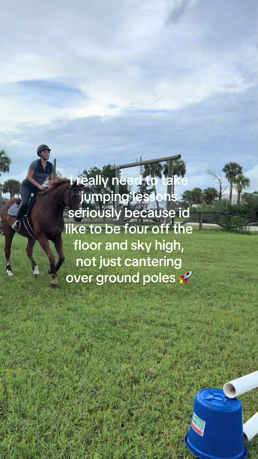@Stephanie Hecker