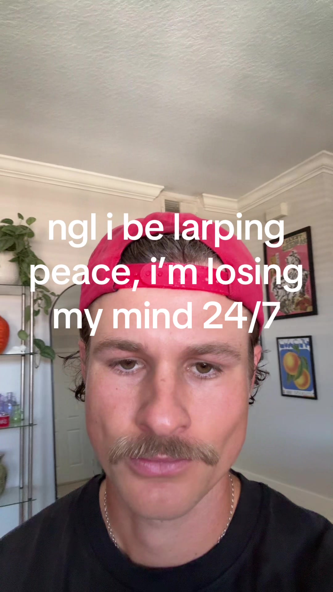@shane