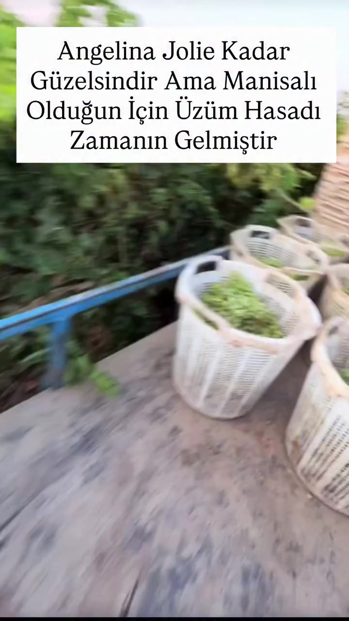 @&Ouml;zen Ce