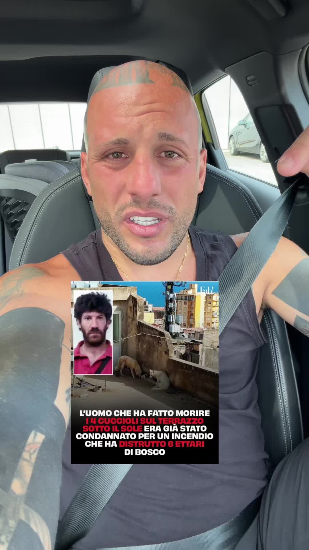@MASSI e MINO