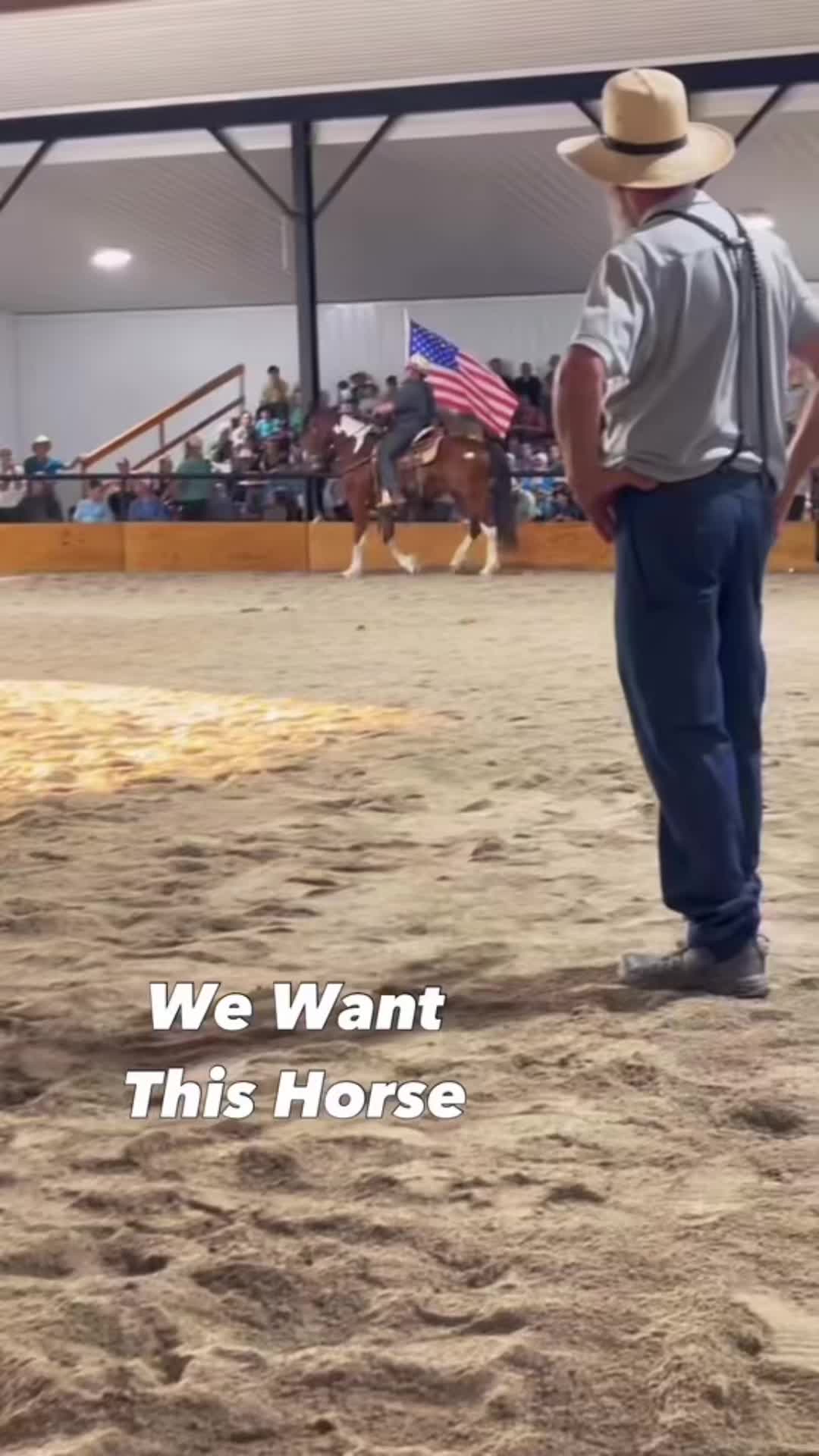@Free Spirit Equestrian