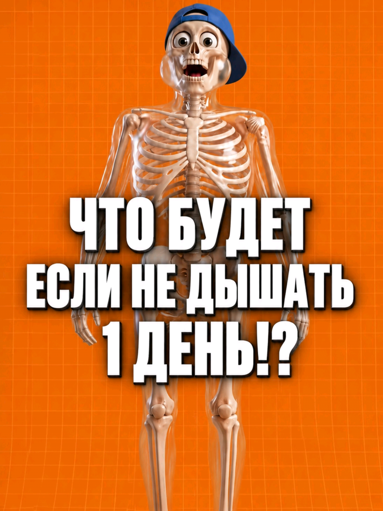 @🍉 Арбузыч 🍉