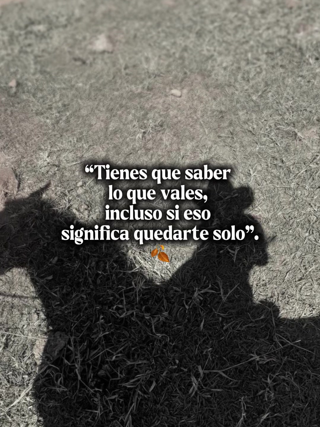 @🎀Zaiti🤍☘️🎀